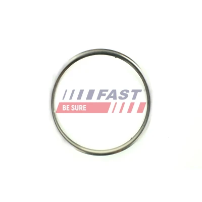 Imagem de FAST FT84813 Junta, tubo de escape Entrada FIAT: BRAVO 2, Grande Punto Hatchback, Doblo II Van / Carrinha, ALFA ROMEO: 159 Sportwagon