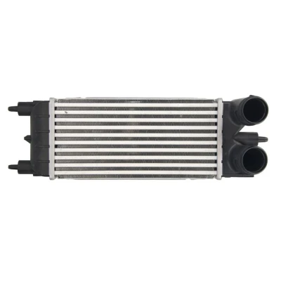 Imagem de THERMOTEC DAC020TT Intercooler