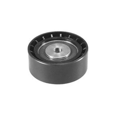 Imagem de MAGNETI MARELLI 331316170117 Polia de desvio/de guia, correia trapezoidal RENAULT: CLIO 2 Kasten