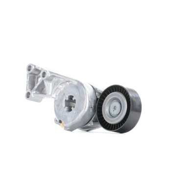 Imagem de SKF VKM 31011 Polia Tensora SEAT: Ibiza 4, Leon I Hatchback, 3, VOLKSWAGEN: Golf Passat B6 Sedan, Bora AUDI: A3 Sportback endado,