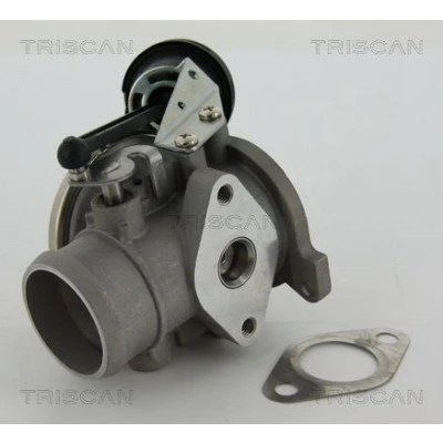 Imagem de TRISCAN 8813 29022 Válvula EGR pneumático com juntas VOLKSWAGEN: Polo III Hatchback, Lupo / 3L, AUDI: A2, SEAT: Arosa