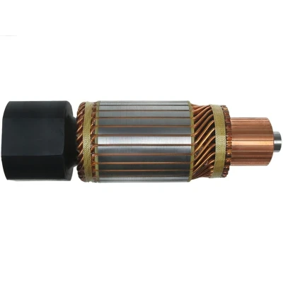 Imagem de AS PL SA0010 Induzido, motor de arranque