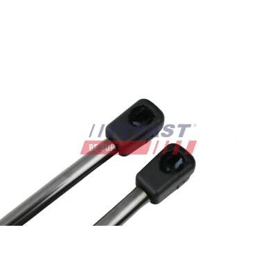 Imagem de FAST FT94806K Amortecedor da mala 670N 890mm