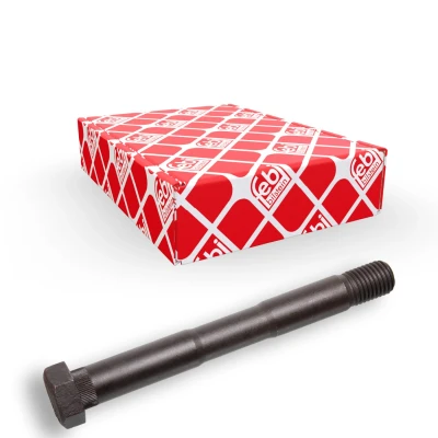Imagem de Parafuso de mola FEBI BILSTEIN 10811