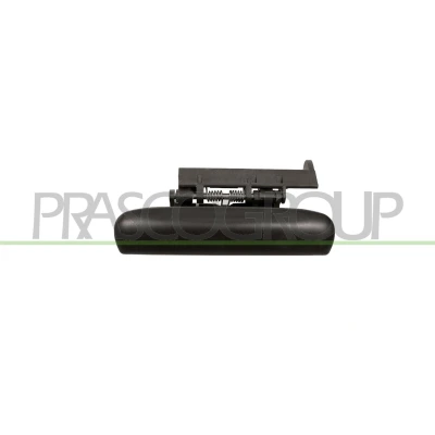 Imagem de PRASCO CI4208104 Puxadores de Porta exterior, traseira esquerda com subcapa CITROËN: Xsara Hatchback, Carrinha