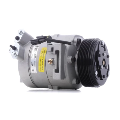 Imagem de NISSENS 89313 Compressor DCS17IC 12 PAG 46 R 134a RENAULT: MASTER 3 Kasten