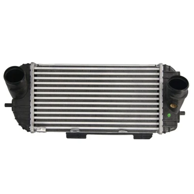 Imagem de NRF 309049 Intercooler