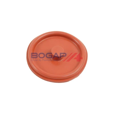 Imagem de BOGAP E1116100 Válvula, respiro do cárter da cambota