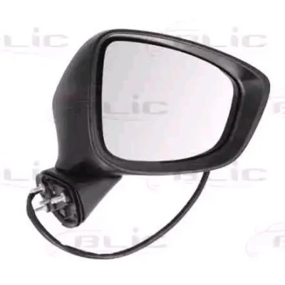 Imagem de Espelho retrovisor exterior BLIC 5402 14 2001736P