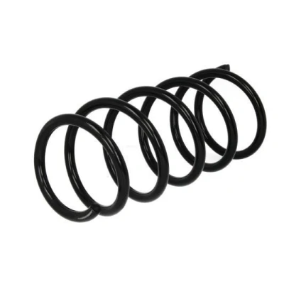 Imagem de Magnum Technology SR134MT Mola de suspensão Eixo dianteiro