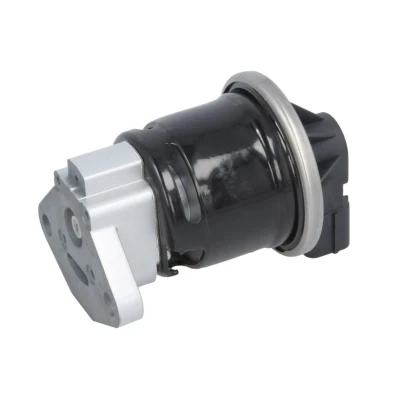Imagem de DELPHI EG10499 12B1 Válvula EGR