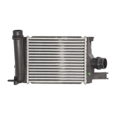 Imagem de THERMOTEC DAR004TT Intercooler 255 226 62 RENAULT: Captur, Clio 4, DACIA: Duster II