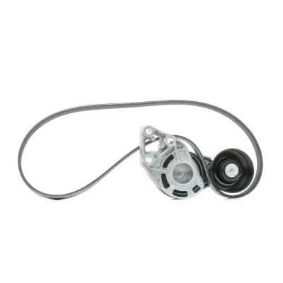 Imagem de SKF VKMA 31036 Jogo de correias trapezoidais estriadas SEAT: Ibiza 3, Córdoba II Sedan