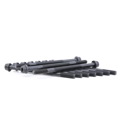 Imagem de REINZ 14 32079 01 Jogo de Parafusos da Cabeçote Torx interior PEUGEOT: Expert I Van, 306 Hatchback, 406 Sedan, CITROËN: Xsara Coupe, ZX Hatchback