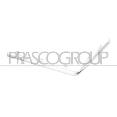 Imagem de Friso, pára choques PRASCO ME0471283