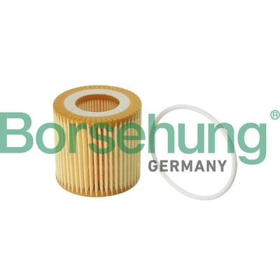 Imagem de Borsehung B12219 Filtro de óleo Cartucho filtrante SEAT: Ibiza 3, 4, 4 Sportcoupe, VOLKSWAGEN: Polo V Hatchback, IV Hatchback