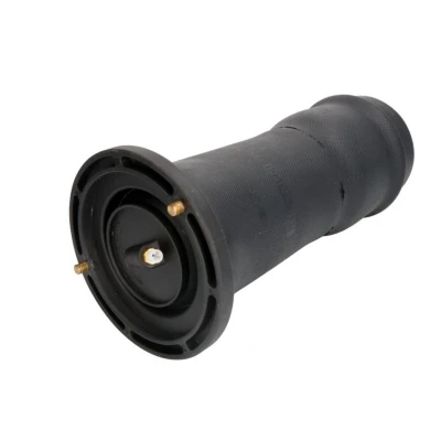 Imagem de Magnum Technology MZL001MT Elemento de suspensão pneumática Eixo traseiro esquerdo, direito