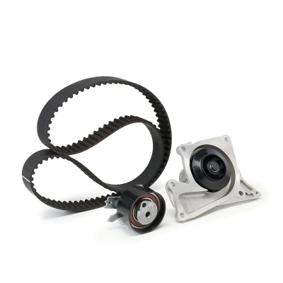 Imagem de FEBI BILSTEIN 173163 bomba de Água + Kit Correia Distribuição com água 123 RENAULT: MEGANE 3 Grandtour, CLIO 3,