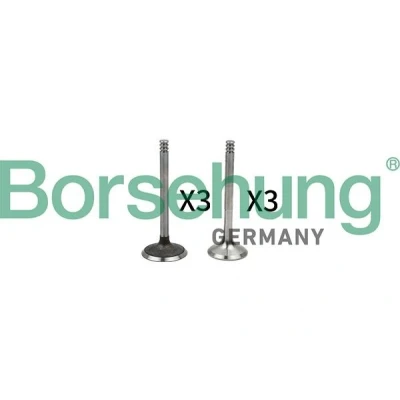 Imagem de Borsehung B18765 Válvula