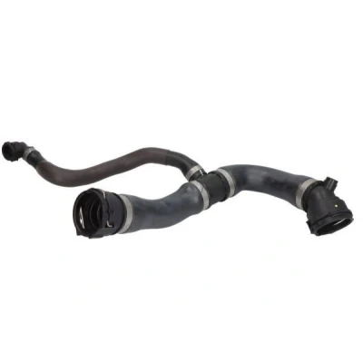 Imagem de THERMOTEC DWB310TT Mangueira de Radiador EPDM (borracha etileno propileno dieno) BMW: 3 Sedan