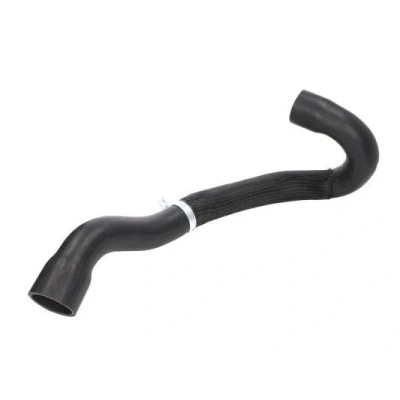 Imagem de THERMOTEC DCC018TT Tubo flexível de admissão, filtro ar Saída, Eixo dianteiro PEUGEOT: 307 Hatchback, SW, CITROËN: C4 I Coupe