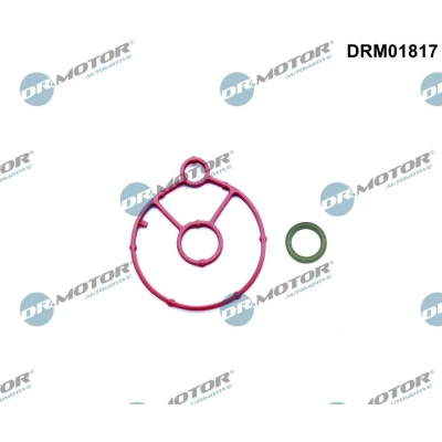 Imagem de DR.MOTOR AUTOMOTIVE DRM01817 Juntas