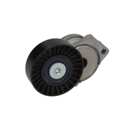 Imagem de SWAG 55 93 0146 Tensor da Correia VOLVO: XC60 I