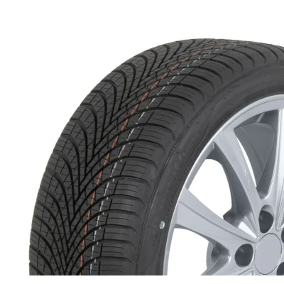 Imagem de Sava All Weather ( 185/60 R15 88H XL )