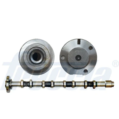 Imagem de FRECCIA CM05 2289 Árvore de Cames Lado admissão FORD: Transit Mk5 Camião plataforma/Chassis
