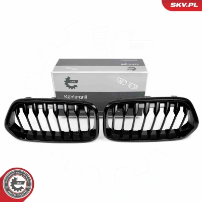 Imagem de ESEN SKV 66SKV245 Grelha de Radiador preto, brilhante