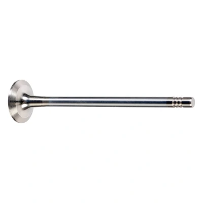 Imagem de FEBI BILSTEIN 176537 Válvula de Escape 24 RENAULT: CLIO 4, 4 Kasten