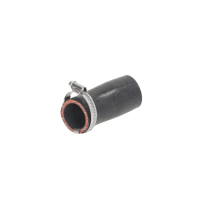 Imagem de THERMOTEC DCI033TT Mangueira Para o Turbocompressor LAND ROVER: Range Rover Sport