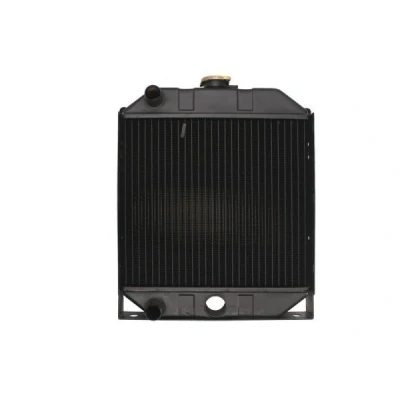 Imagem de Radiador, arrefecimento do motor THERMOTEC D7AG151TT
