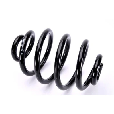 Imagem de Magnum Technology SX106MT Mola de suspensão Eixo traseiro helicoidal para veículos sem regulação nível