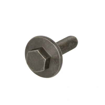Imagem de FEBI BILSTEIN 40755 Parafuso de polia