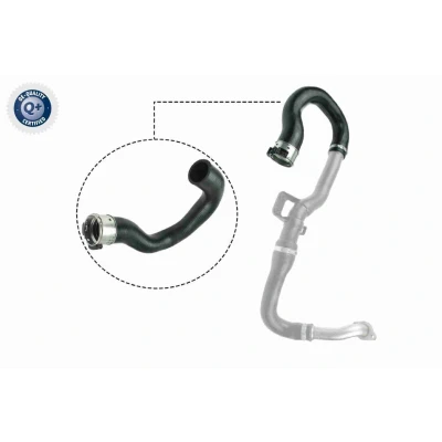 Imagem de VAICO V40 1516 Mangueira Para o Turbocompressor Borracha com entretela Q+, original equipment manufacturer quality OPEL: Corsa D Hatchback