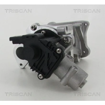 Imagem de TRISCAN 8813 10007 Válvula EGR elétrico com juntas PEUGEOT: 407 SW, Sedan, 807 MPV, FORD: S Max Mk1, Galaxy Mk2 MONDEO 4 Turnier