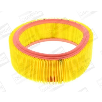 Imagem de CHAMPION CAF100716R Filtro de ar 91 Cartucho filtrante RENAULT: CLIO 2, Kangoo I Express, MEGANE 1, DACIA: Sandero I, Logan MCV