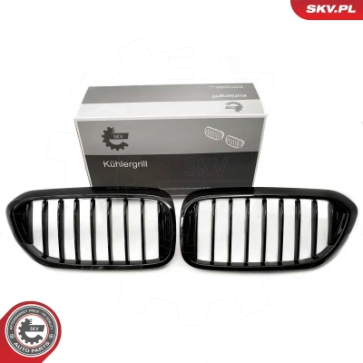 Imagem de ESEN SKV 66SKV198 Grelha de Radiador brilhante, preto BMW: 5 Touring