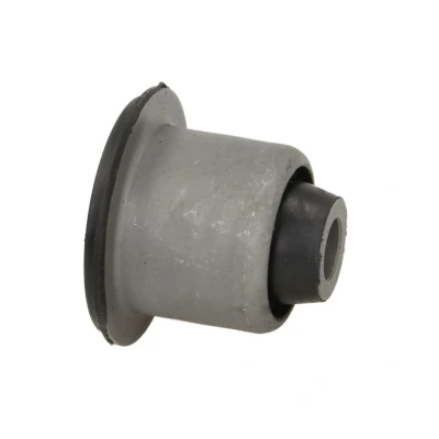Imagem de REINHOCH RH14 2024 Casquilho de Braço Suspensão Eixo dianteiro 42 DACIA: LOGAN 2