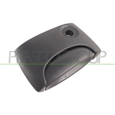 Imagem de PRASCO DS9178141 Puxadores de Porta exterior, à direita preto RENAULT: Kangoo I, I Express