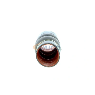 Imagem de VAICO V25 0949 Mangueira Para o Turbocompressor Borracha com entretela Q+, original equipment manufacturer quality FORD: Focus Mk1 Carrinha