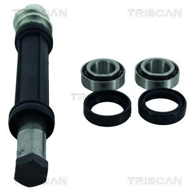 Imagem de TRISCAN 8500 38400 Jogo de reparação, suspensão da roda CITROËN: BX Hatchback, Xantia Hatchback