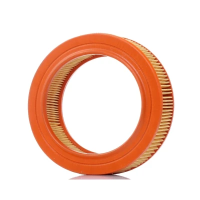 Imagem de PURFLUX A194 Filtro de ar 56 203 Cartucho filtrante RENAULT: 4 Carrinha, Van, 5 Hatchback, NISSAN: MICRA 1