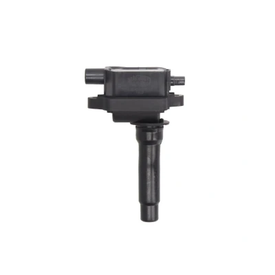 Imagem de MAGNETI MARELLI 060717097012 Bobina de ignição