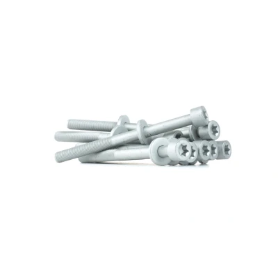 Imagem de REINZ 14 32037 01 Jogo de Parafusos da Cabeçote Torx interior OPEL: Frontera A SUV, Astra F CC, Caravan