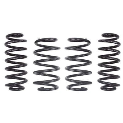 Imagem de EIBACH Pro Kit E10 79 007 01 22 de suspensão, molas