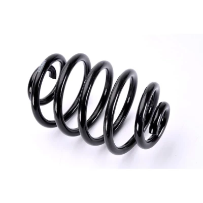 Imagem de Magnum Technology SR058MT Mola de suspensão Eixo traseiro helicoidal RENAULT: CLIO 2