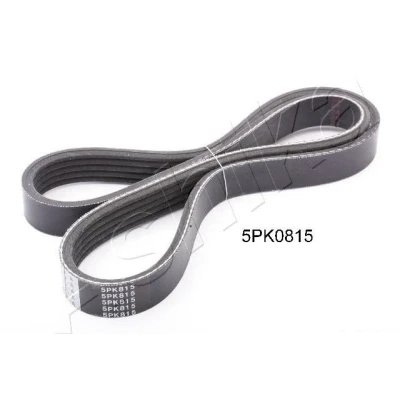 Imagem de ASHIKA 112 5PK815 Correia trapezoidal estriada 815mm 5 MAZDA: RX 8 (SE, FE) 1.3 2003 2012