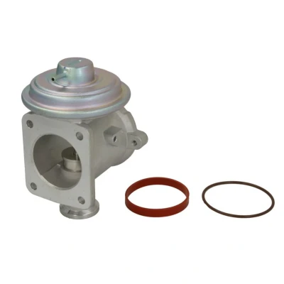 Imagem de Válvula EGR WAHLER 710924D